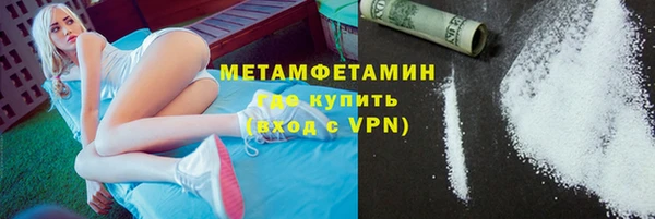 прущие грибы Няндома