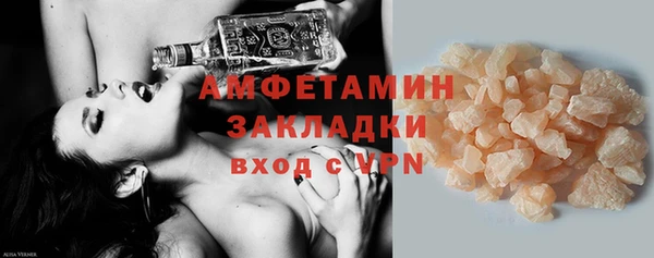 прущие грибы Няндома