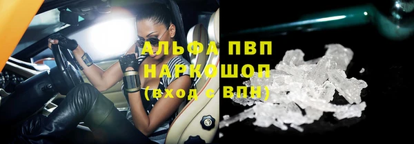 прущие грибы Няндома