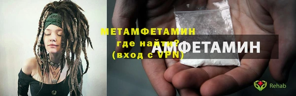 прущие грибы Няндома