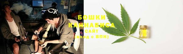 прущие грибы Няндома