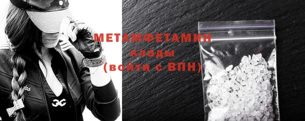 прущие грибы Няндома