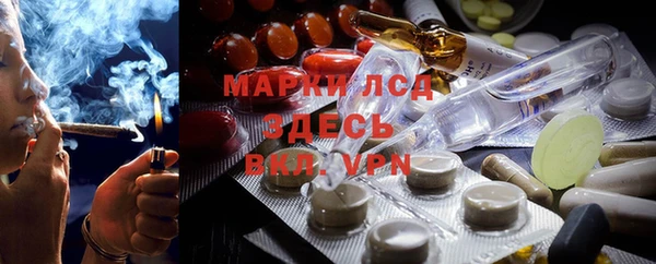 прущие грибы Няндома