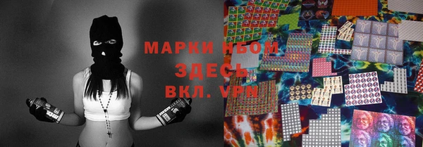 прущие грибы Няндома
