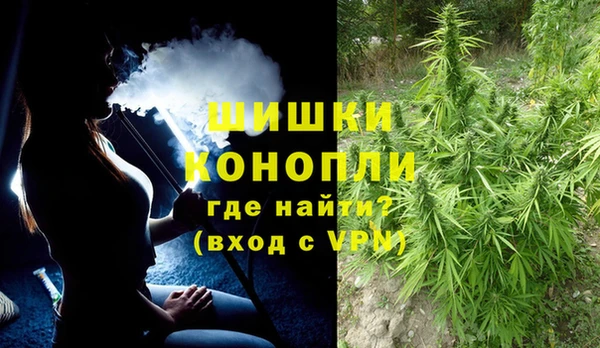 прущие грибы Няндома