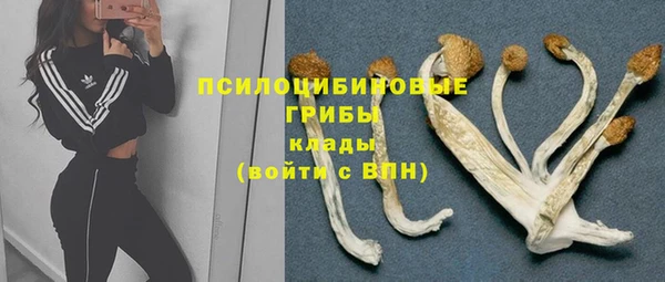 ALPHA-PVP Нягань